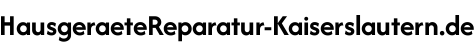 Hausgeräte Reparatur Kaiserslautern